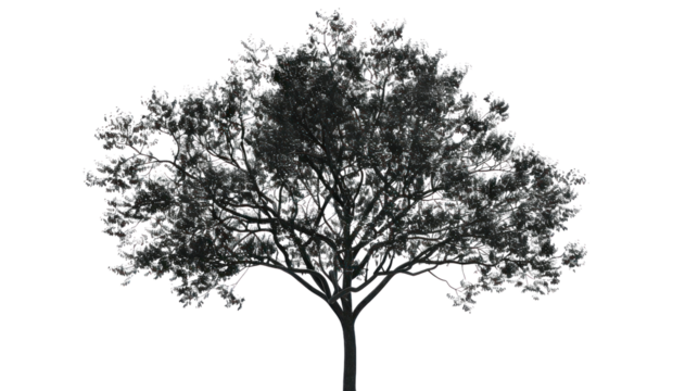 Black tree vector of living icons on a white background