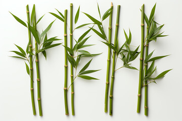 Fototapeta premium Fresh green bamboo stalks with leaves isolated on white background.