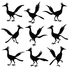 Set of roadrunner animal Silhouette Vector on a white background