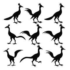 Set of roadrunner animal Silhouette Vector on a white background