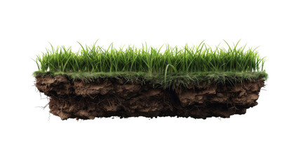 A sturdy blade of grass emerges from a crack in the ground on a png transparency background
