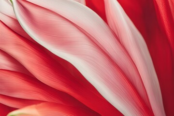 Close-up of a tulip Petal, Color Gradients, Fine Lines, Macro Photography, Floral Details, Vibrant red Flower, High Resolution