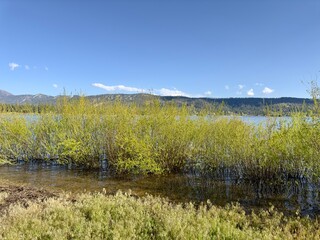 Panoramic grassy lakeside under a vast sky with a distant mountain view, a serene and idyllic natural landscape perfect for peaceful getaways