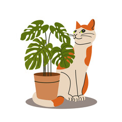 Cat is sitting next to a houseplant. Vector flat style illustration