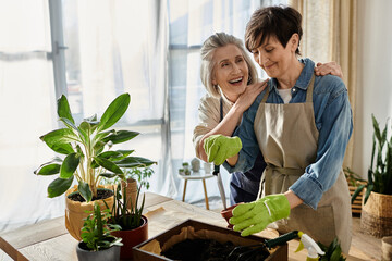 Two older women happily plant a new growth in a pot together.