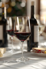 Warm Ambience of Wine Tasting: An Elegant Spread of Premium Quality Wine & Cheese