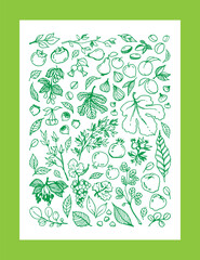 Vector set illustration of various Garden Fruits, leaves, tree branches in green
