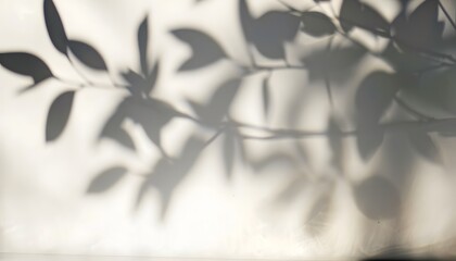 Obraz premium blurred overlay effect for photo organic drop shadow and dappled light on a white wall abstract neutral nature concept background for design presentation shadows for natural light effects