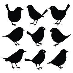 Set of wren birds animal Silhouette Vector on a white background