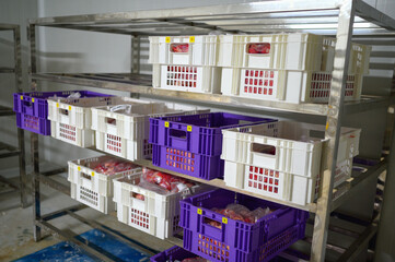Beef in transparent bags inside colour crates in a cold  room ready for processing