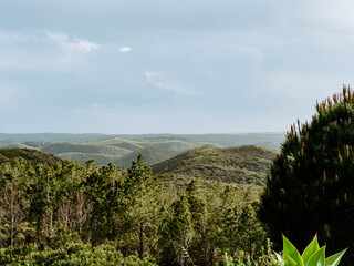 A peaceful landscape of green hills stretching into the distance.