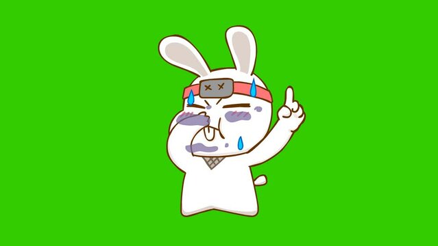 Animated Ninja Rabbit Farting with Green Screen Background