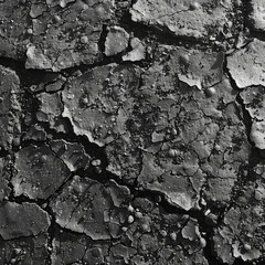 black_soil_texture