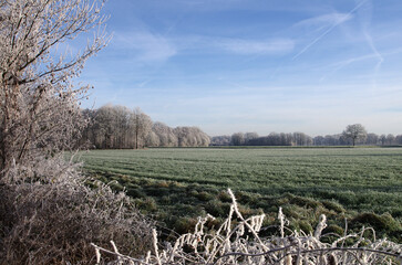  Eine winterliche Landschaft, alles ist mit Frost überzogen
