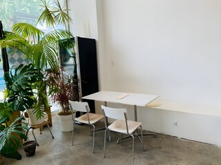 Plants and Peace: A Harmonious Blend of Nature and Modern Design
