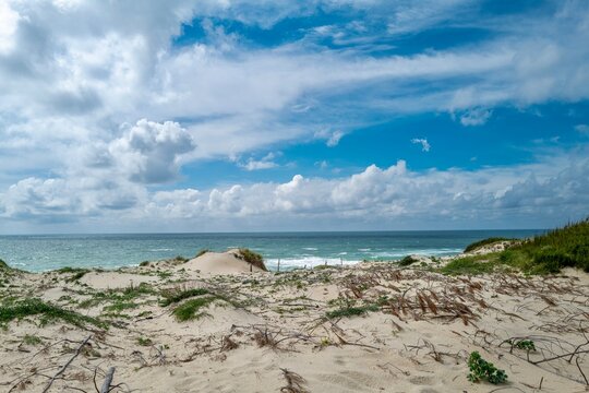 Dune overlooking the sea in Seignosse France