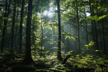 Serene forest landscape, sunlight filtering through trees close up, focus on, copy space, lush and vibrant greens, Double exposure silhouette with peaceful woodland