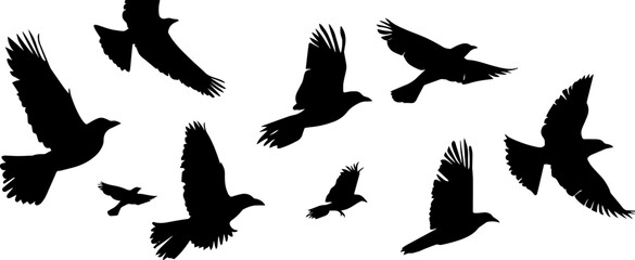 Obraz premium Flying Birds Silhouettes On White Background Vector Design. AI generated illustration.
