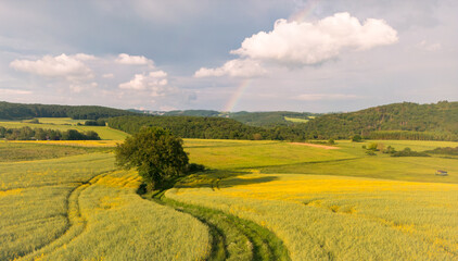Obraz premium Beautiful fields with the rainbow on the blue sky