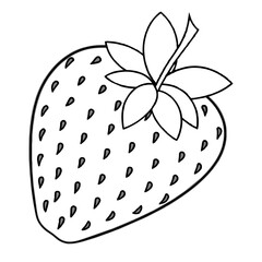 illustration of a strawberry vector illustration icon
