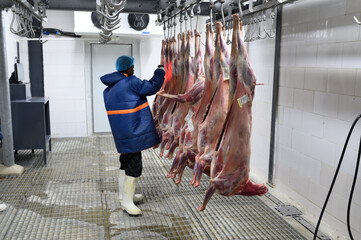 a butcher scanning meats and getting them ready into cold room