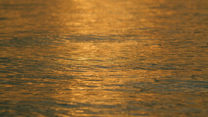 Calm Tidal Waves Movement Showing. Lake Waves On Shore At Sunset. Landscape Sea Surface.