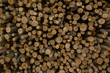 Dark wooden texture. Wood brown texture. Background old panels. Retro wooden table. Rustic background. Vintage colored surface.