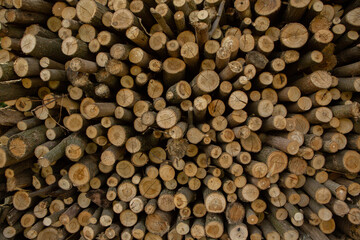 Dark wooden texture. Wood brown texture. Background old panels. Retro wooden table. Rustic background. Vintage colored surface.