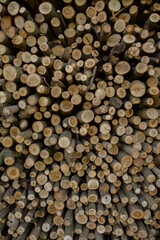 Dark wooden texture. Wood brown texture. Background old panels. Retro wooden table. Rustic background. Vintage colored surface.