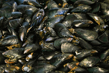 Fresh Mussels ready to cook as background