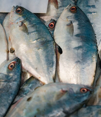  Fresh fish on ice for sale at market.