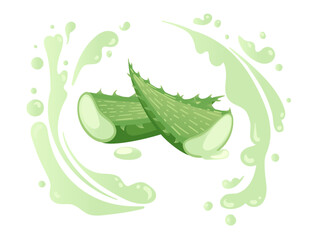 Aloe vera plant with flowing green aloe juice vector illustration isolated on white background