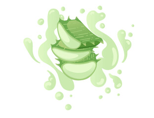 Aloe vera plant with flowing green aloe juice vector illustration isolated on white background