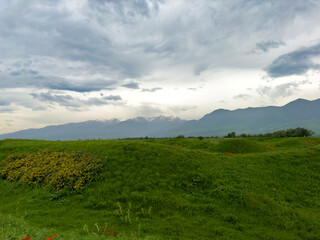 Beautiful flowers of red poppies in the mountains. Spring landscape