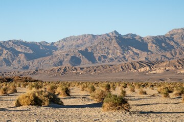 Desert landscape in Death Valley National Park at dusk