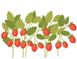 Red tasty wild strawberry on green stem with leaves vector illustration on white background