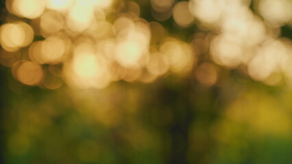 Natural multi layered changing orange bokeh background. Abstract nature magic sunshine sparkling...