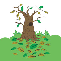 Spring tree isolated on white background