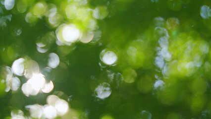 Blur bokeh nature background. Green bokeh out of focus background from nature forest. Blur.