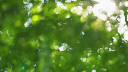 Green leaves summer spring background. Vintage retro blurred forest landscape. Blur.