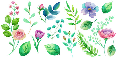 Wild flowers vector collection. herbs, herbaceous flowering plants, blooming flowers