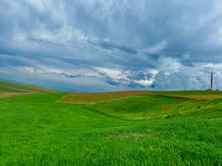 Green grass on a field in spring against a dramatic sky. Beautiful landscape. Kyrgyzstan.