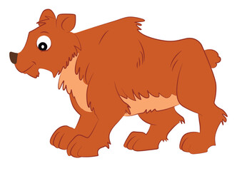 Bear isolated on white background
