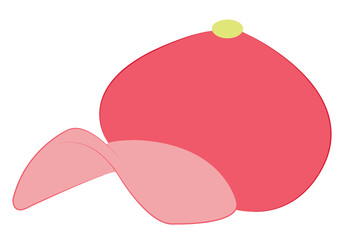 cap isolated on white background