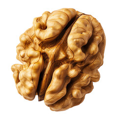 Close-Up of Walnut Kernel on White Background