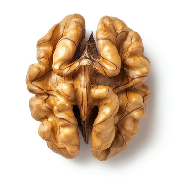 Close-Up of Walnut Kernel on White Background