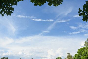 Green leaves frame sky background