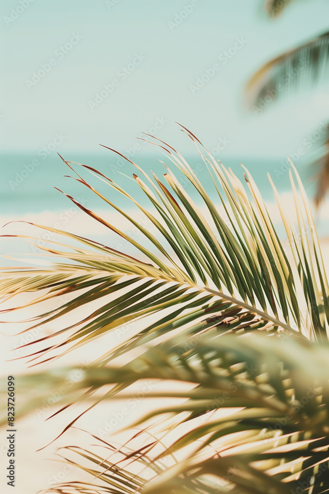 Canvas Prints a palm tree leaf on the background of a sandy beach and blue ocean.