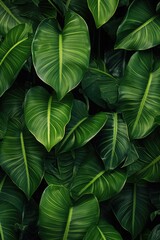 tropic leaves background