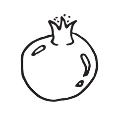 Pomegranate hand drawn vector illustration on isolated white background